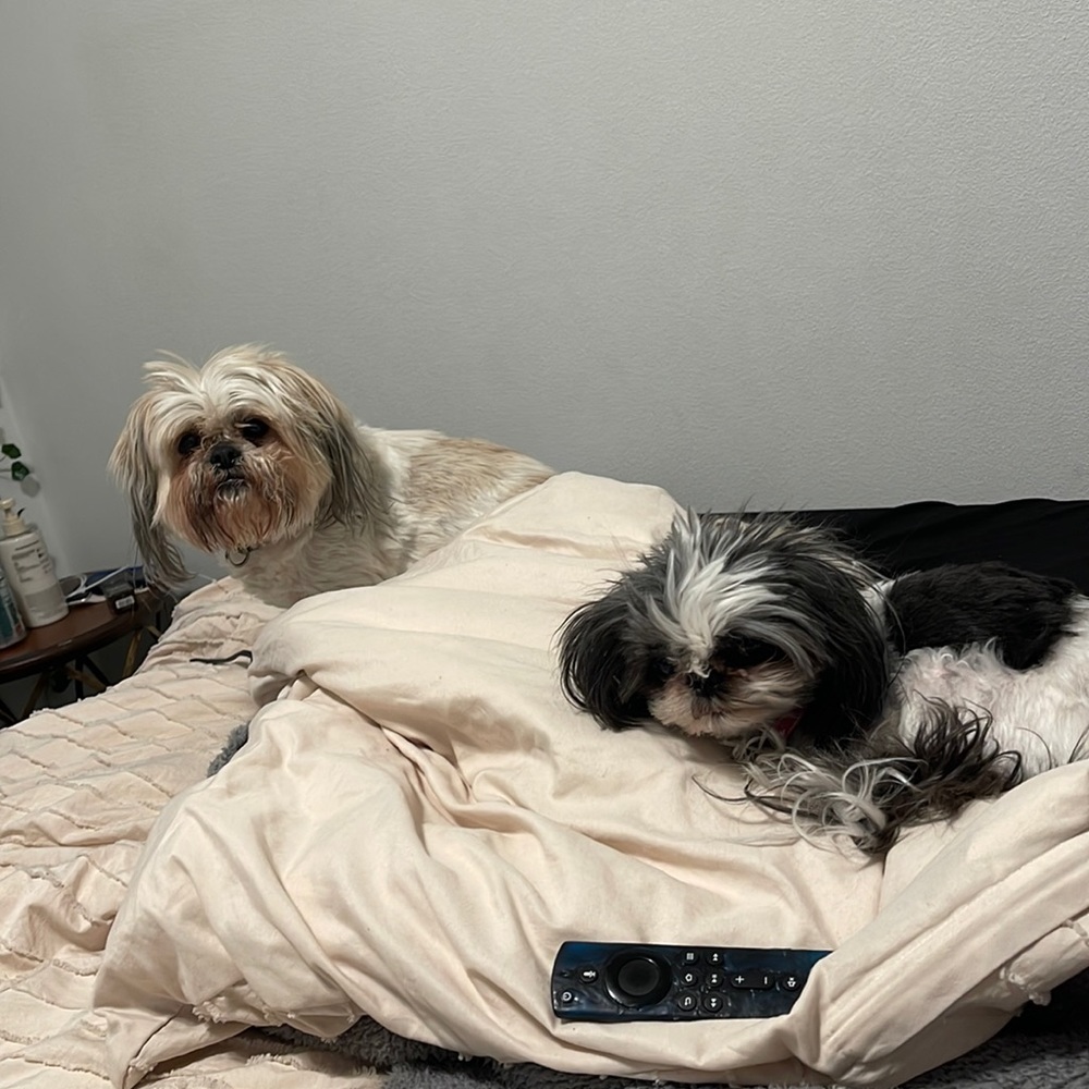 Special markdowns today only!!!